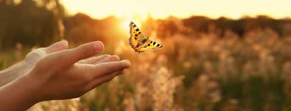 ¿Qué es un Seguro de Defunción?