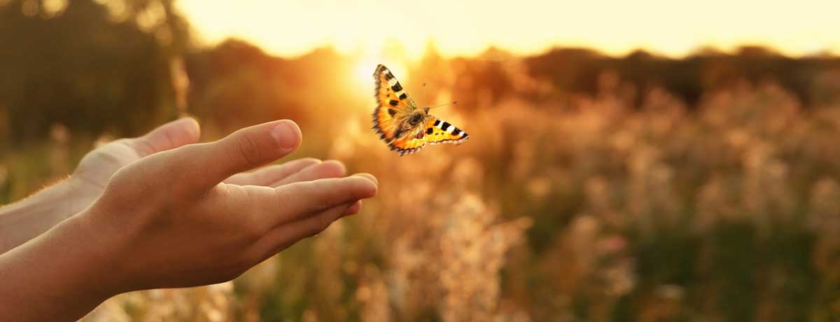 ¿Qué es un Seguro de Defunción?